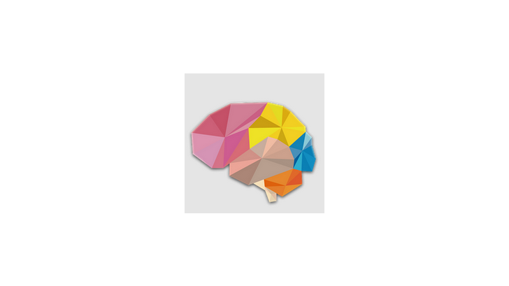 Brain Wars เกมส์ฝึกสมองออนไลน์ ท้าทายกับคนทั่วโลก
