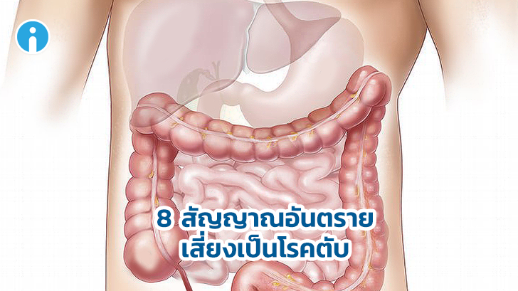 โรคตับ กับ 8 สัญญาณอันตราย แสดงให้เห็นว่าคุณควรไปพบแพทย์โดยเร็วที่สุด