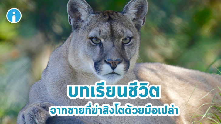 ไม่มีความพยายามใดที่มากจนเกินพอดี... ถอดบทเรียนชีวิต จากชายที่ฆ่าสิงโตด้วยมือเปล่า