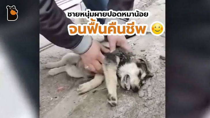 สุดยอดเทพบุตร ผายปอดให้น้องหมาฟื้นคืนชีพอีกครั้ง!