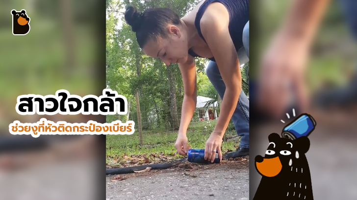 หัวใจจะวาย กับคลิปสาวใจกล้า ช่วยงูที่หัวติดอยู่ในกระป๋องเบียร์