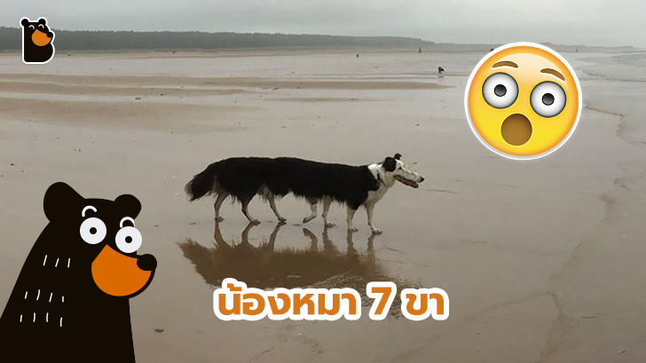 30 ภาพถ่ายในโหมดพาโนรามาที่ผิดพลาด จนทำให้เกิดความฮาอย่างไม่น่าให้อภัย