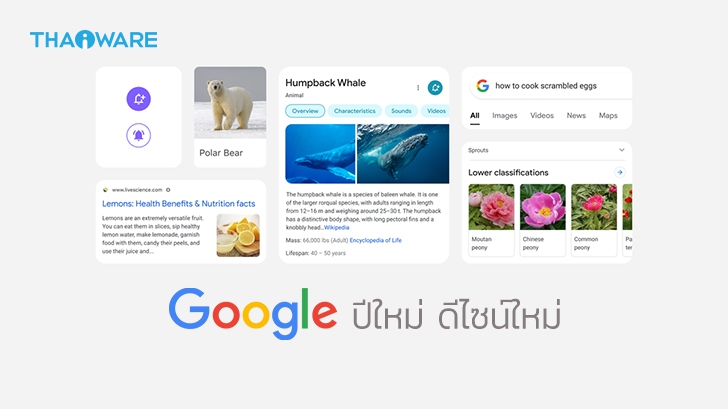 Google ประกาศปรับดีไซน์แอปพลิเคชัน Google Search ทั้งในระบบ Android และ iOS