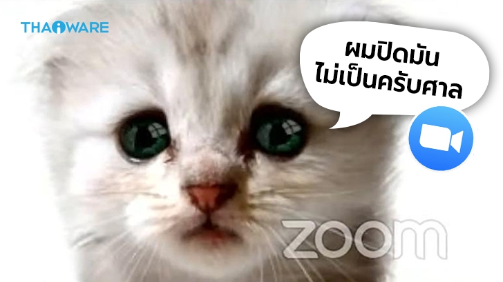 ทนายเท็กซัสเข้าไต่สวนออนไลน์ด้วยหน้า "ลูกแมวเศร้า" เพราะปิดฟิลเตอร์บน Zoom ไม่เป็น