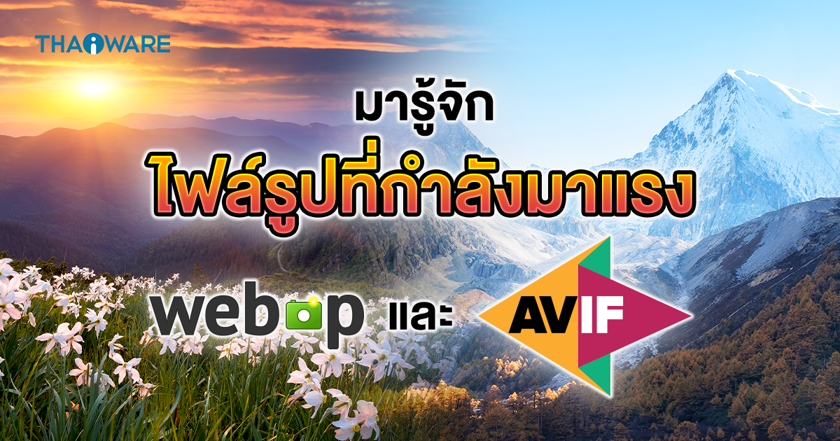 WebP และ AVIF คืออะไร ? มาตรฐานไฟล์รูปเหล่านี้ต่างกันอย่างไร ? ใช้ตัวไหนดี ?