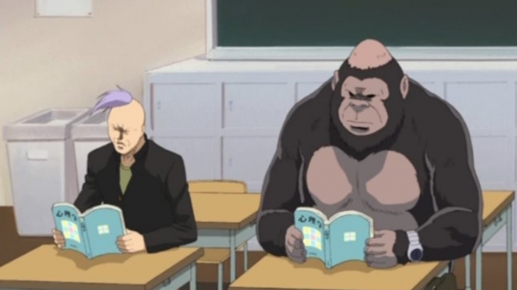 มัลแวร์ GorillaBot โจมตีผู้ใช้งาน Windows ในกว่า 100 ประเทศทั่วโลก ด้วยการยิงคำสั่งกว่า 3 แสนครั้งใน 3 สัปดาห์