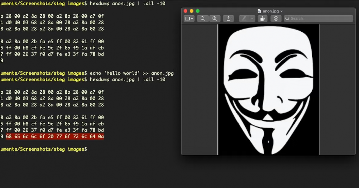 พบแฮกเกอร์ใช้วิธีการพรางโค้ด ซ่อนโค้ดมัลแวร์ไว้ภายในไฟล์รูป PNG เพื่อปล่อยมัลแวร์