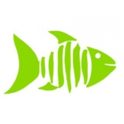 MaePla Software