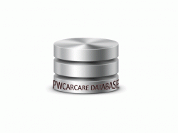 pwcarcare