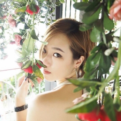 Piidomeen Panjaweenin