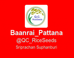 QC_RiceSeeds