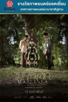 มะลิลา - Malila The Farewell Flower