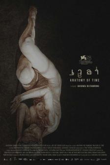 เวลา - Anatomy of Time