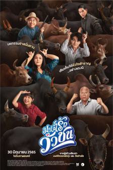 มนต์รักวัวชน - Monrak Wourchon