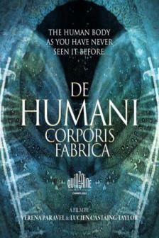 De Humani Corporis Fabrica
