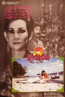 The Seagull - นางนวล