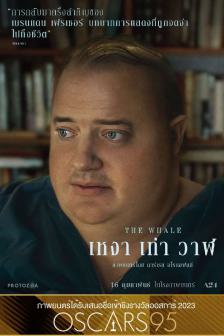 The Whale - เหงา เท่า วาฬ
