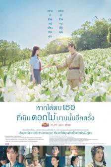Till We Meet Again on the Lily Hill - หากได้พบเธอที่เนินดอกไม้บานนั้นอีกครั้ง