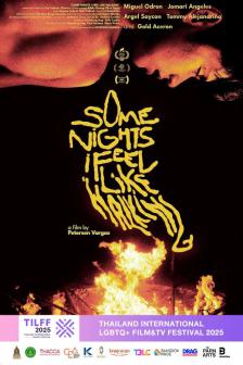 SOME NIGHTS I FEEL LIKE WALKING - SOME NIGHTS I FEEL LIKE WALKING