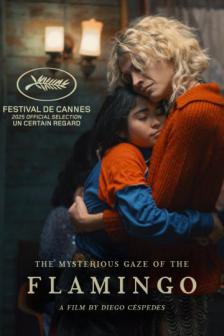 The Mysterious Gaze Of The Flamingo_BKKIFF25