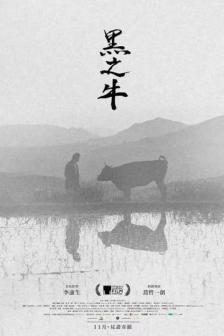 Black Ox QA_BKKIFF25 - Black Ox QA_BKKIFF25