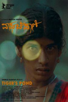 Tigers Pond QA_BKKIFF25 - Tigers Pond QA_BKKIFF25