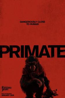 Primate - ลิงคลั่งพันธุ์ดิบ