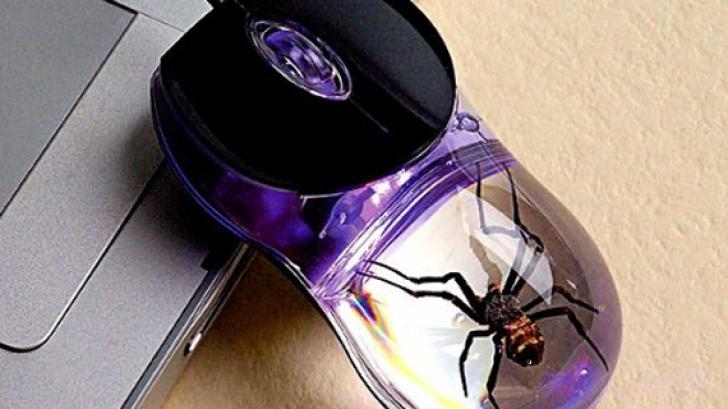 ต้อนรับ Spiderman ด้วยเมาส์แมงมุม