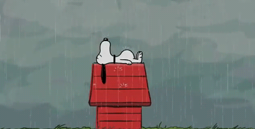 Snoopy Snoopy