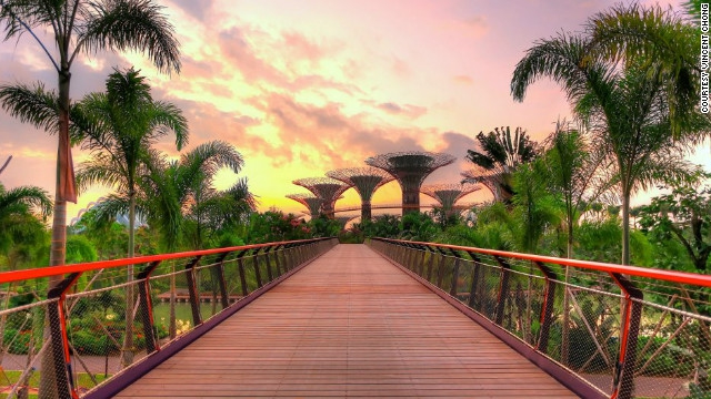 120607015359-supertree-bridge-singapore-horizontal-gallery 120607015359-supertree-bridge-singapore-horizontal-gallery