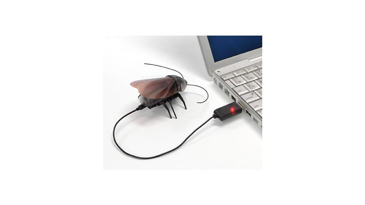 แมงสาบบังคับวิทยุ ! น่ารักน่าเล่น