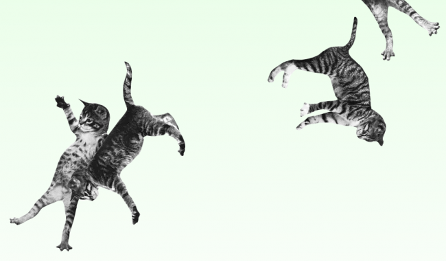 2012-11-23_173013 2012-11-23_173013