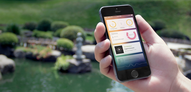 1110f2a6f4de90f99bff9324099f56b8_large