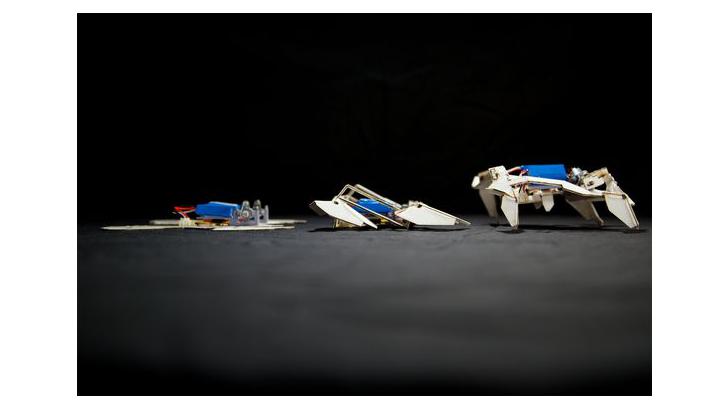 เมื่อเทคนิคการพับกระดาษกับการสร้างหุ่นยนต์ กลายเป็นแนวทางการออกแบบหุ่นยนต์ในอนาคต