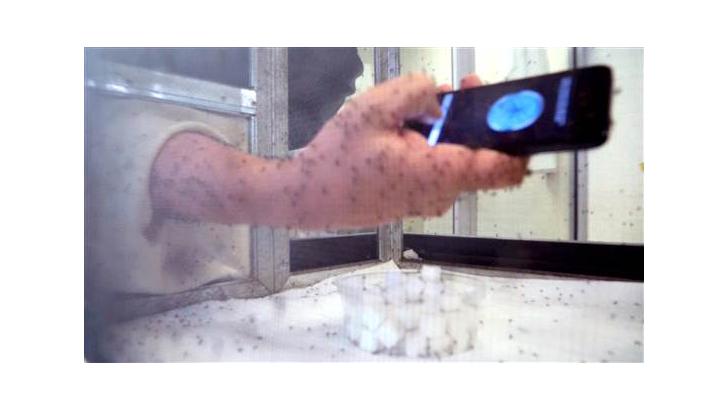 ทดสอบแอปฯไล่ยุงบนมือถือ Anti Mosquito ทึ่ง ! ไอโฟนไม่โดนยุงกัดเลยสักตัว