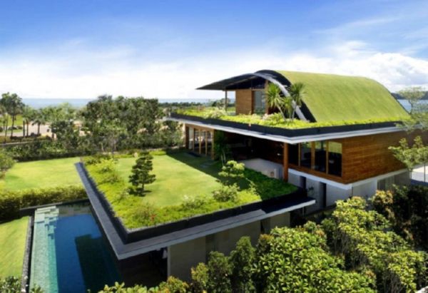 Green-Roof