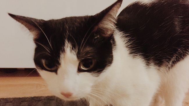 VSCO Sample Final-650-80