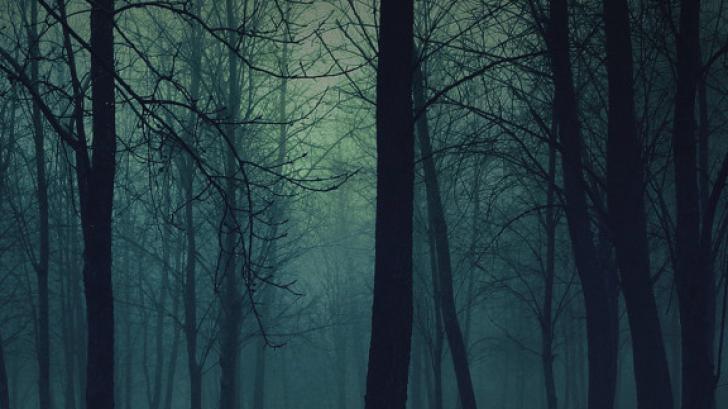 แจกวอลเปเปอร์แนว ธรรมชาติ สำหรับผู้ใช้ iPhone