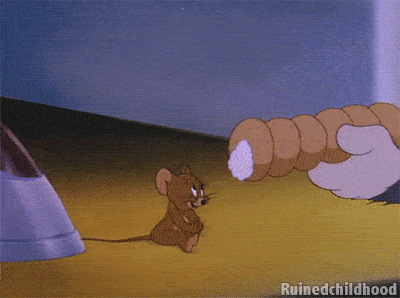 ezgif-3697328351 ezgif-3697328351