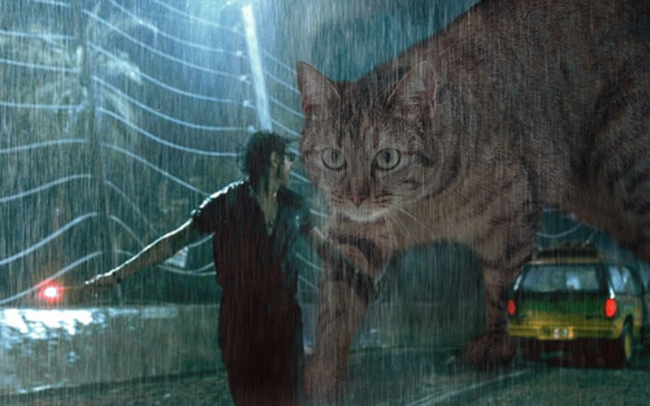 jurassic-park-kittens-6