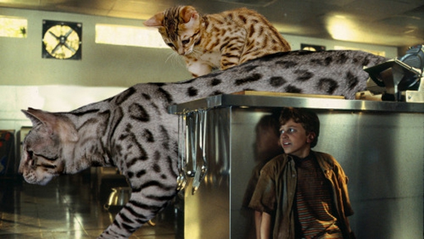 jurassic-park-kittens-7