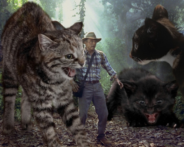 jurassic-park-kittens-8
