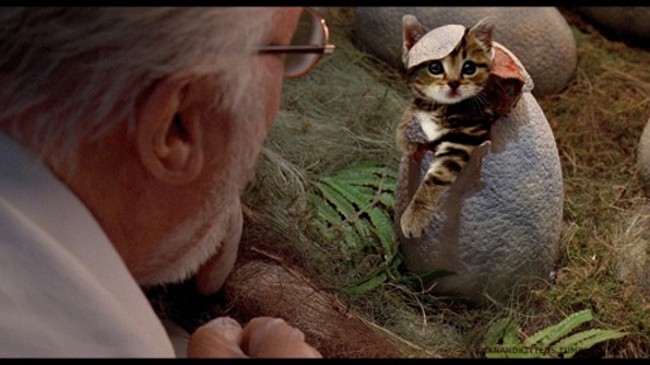 jurassic-park-kittens-10
