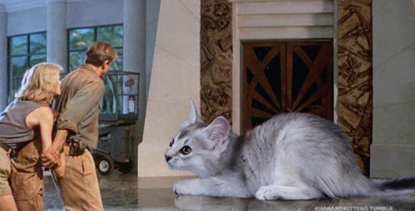 jurassic-park-kittens-12
