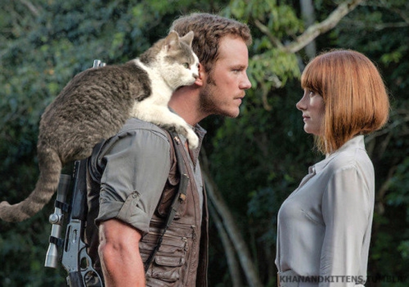 jurassic-world-kittens-3