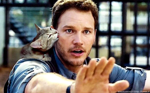 jurassic-world-kittens-7