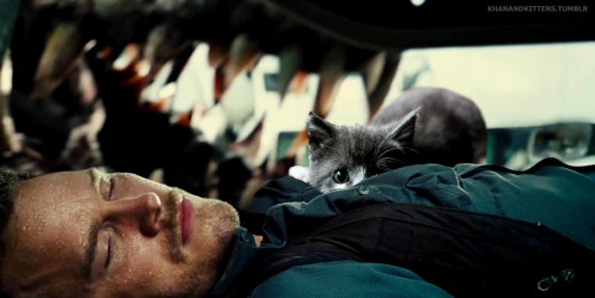 jurassic-world-kittens-8