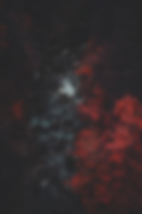 redwallpaper1-678x1024