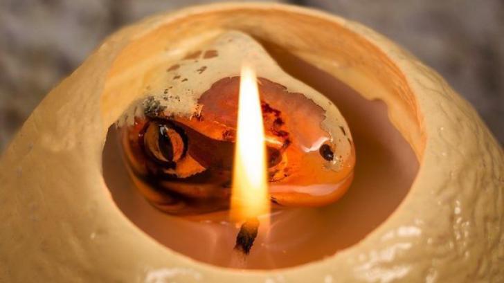 ไอเดียเก๋ไก๋ ! กับเทียนไข่ไดโนเสาร์ Raptor