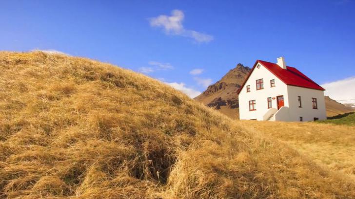 แบบนี้มันเจ๋งมาก Plotagraph Pro เปลี่ยนภาพนิ่ง เป็นภาพเคลื่อนไหวอย่างหรู